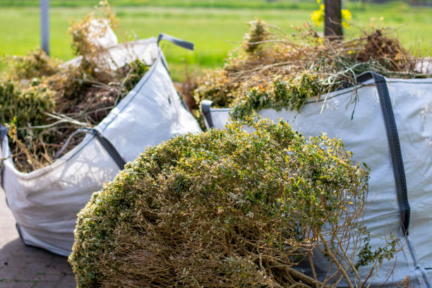 Best Same-Day Junk Removal Services  in Greenbriar, FL